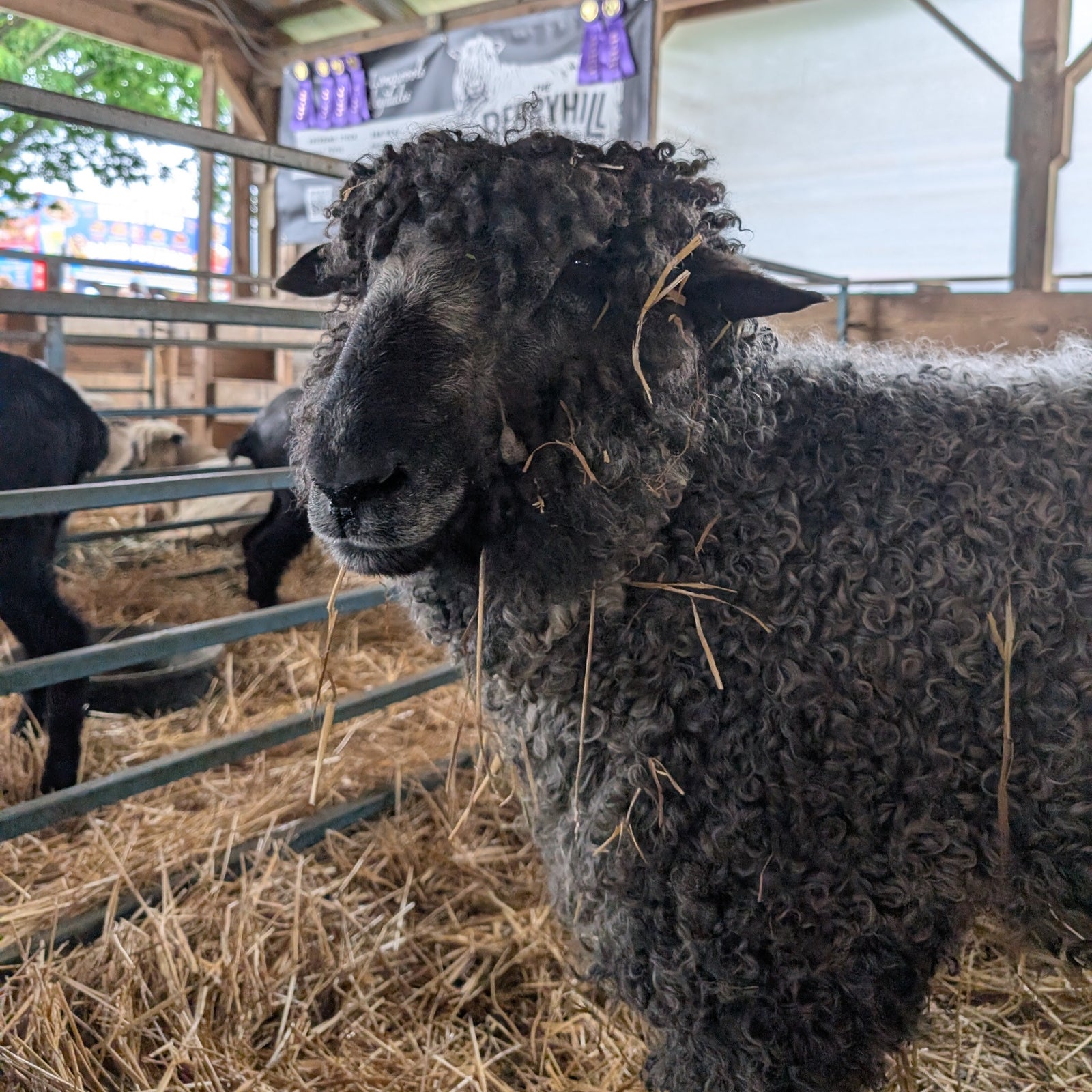 First donation sent to Ukraine, and a MDSW recap.